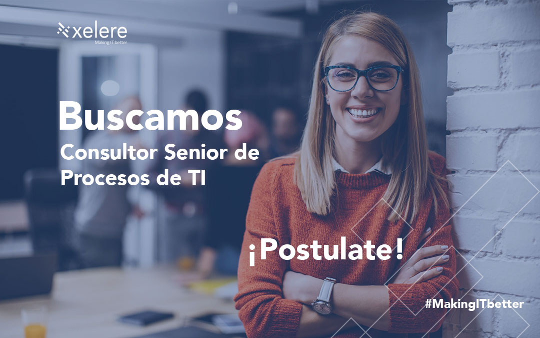 Consultor Senior De Procesos De Ti Xelere